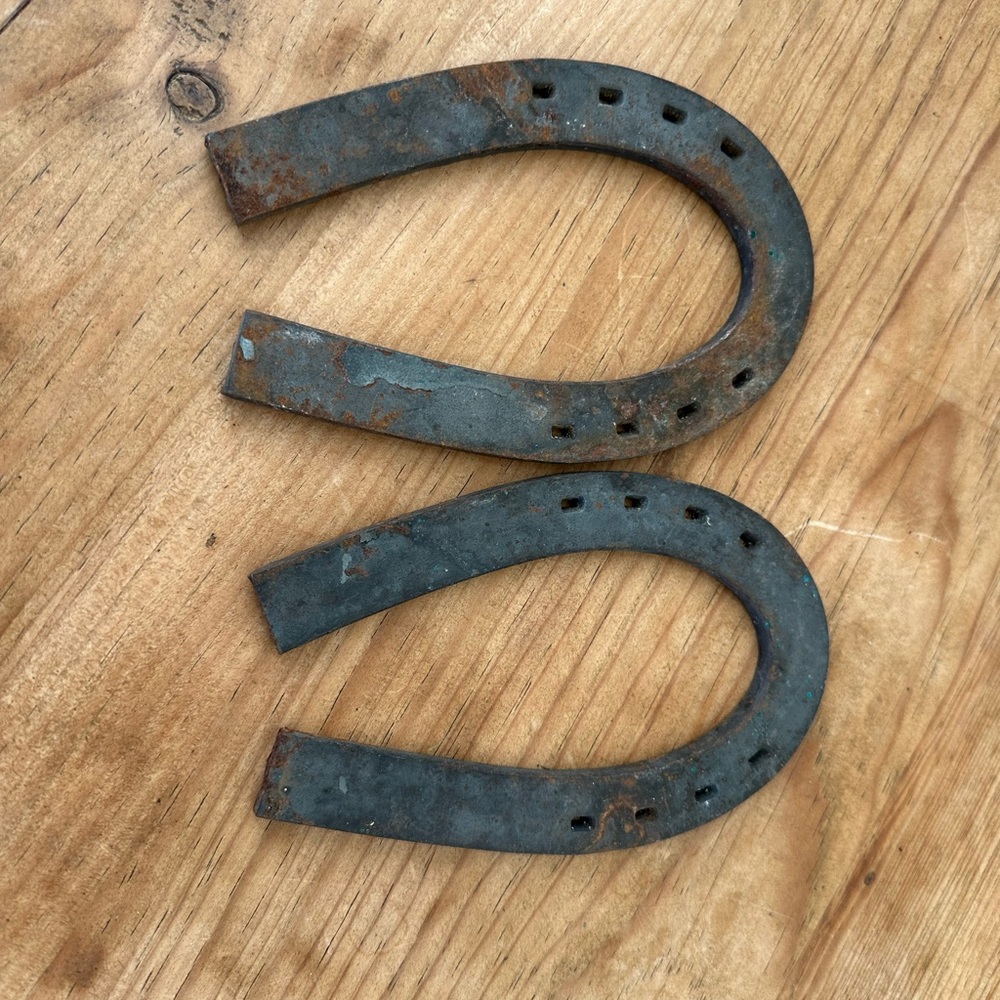 Rustic Metal Horseshoes